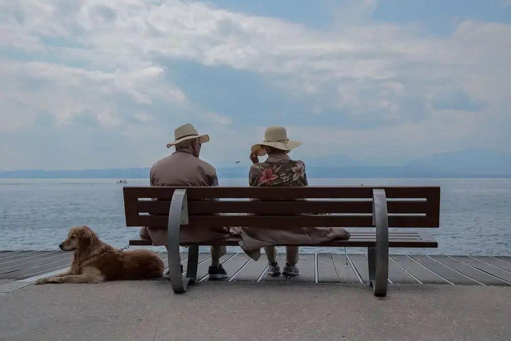 zwei ältere menschen mit einem hund sitzen auf einer bank vor dem meer